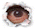 EYEFLASH.gif (1633 bytes)